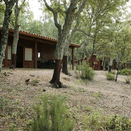 Camping Maçanet de Cabrenys المظهر الخارجي الصورة