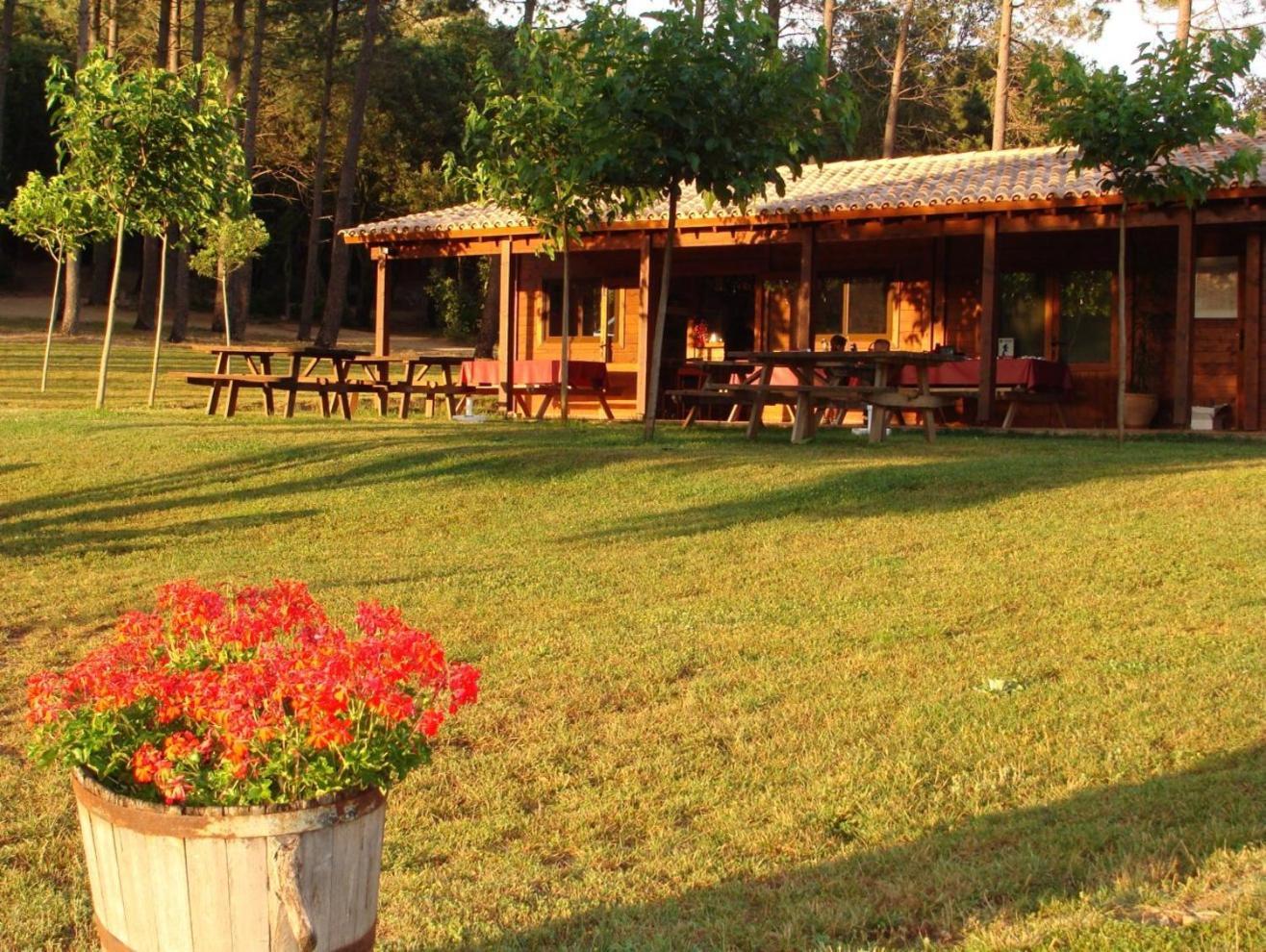 Camping Maçanet de Cabrenys المظهر الخارجي الصورة