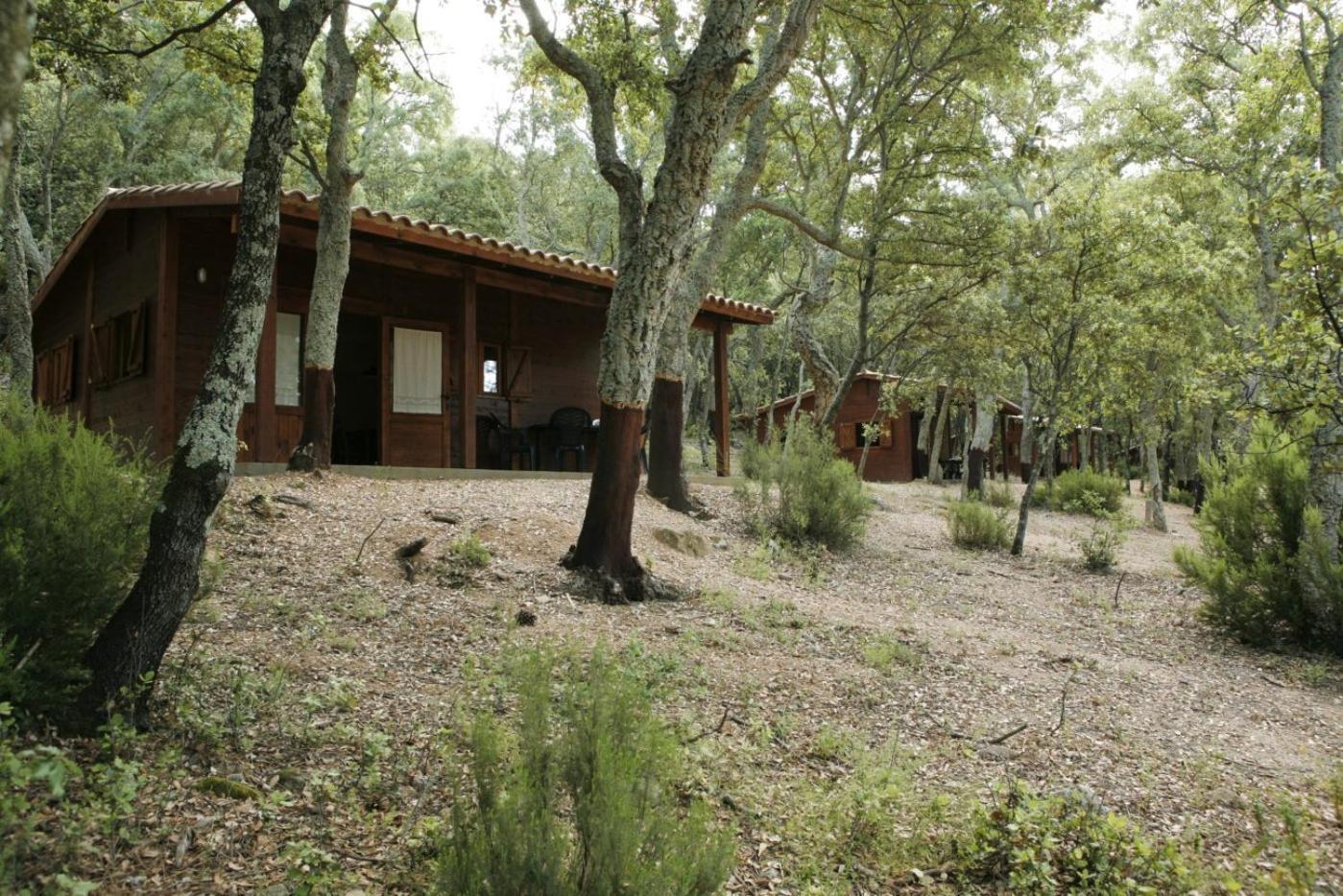 Camping Maçanet de Cabrenys المظهر الخارجي الصورة