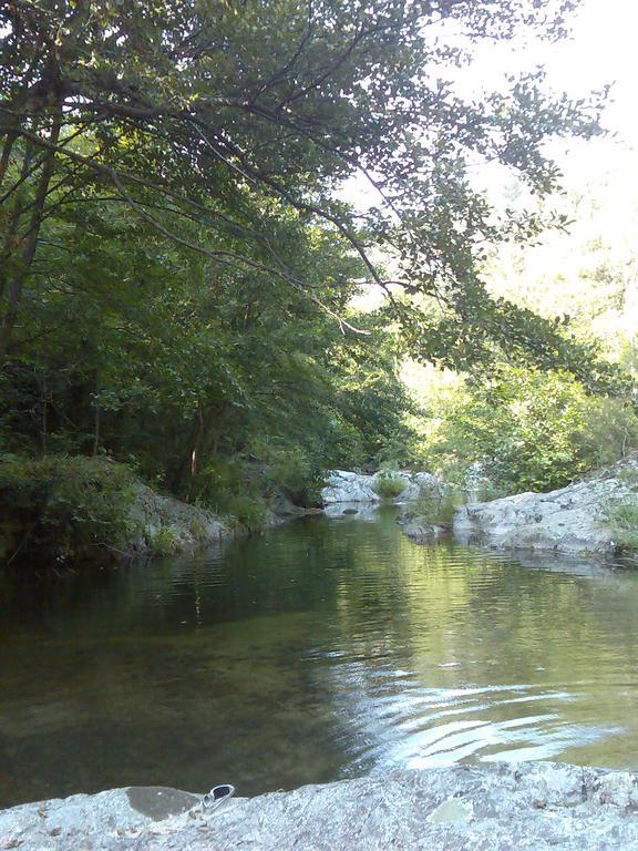 Camping Maçanet de Cabrenys المظهر الخارجي الصورة