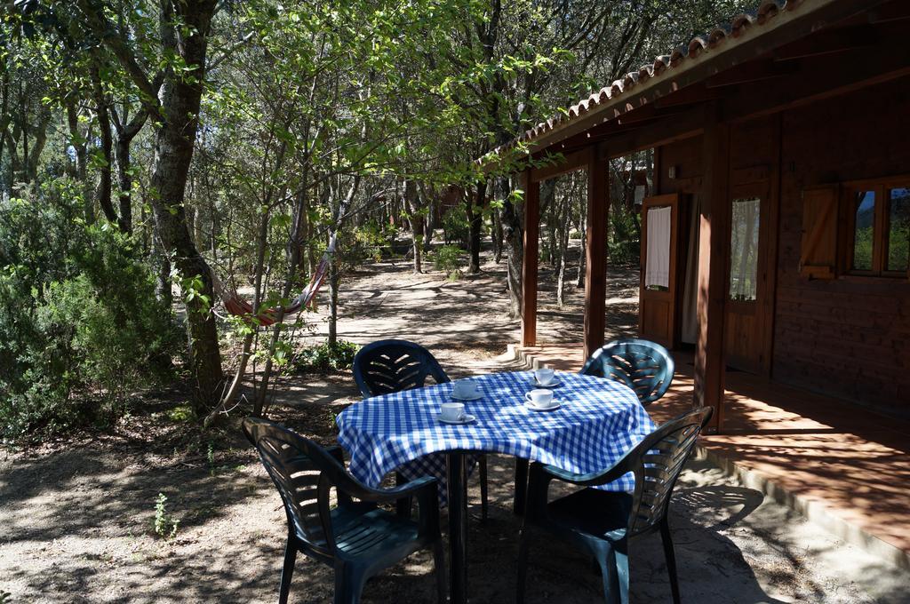 Camping Maçanet de Cabrenys المظهر الخارجي الصورة