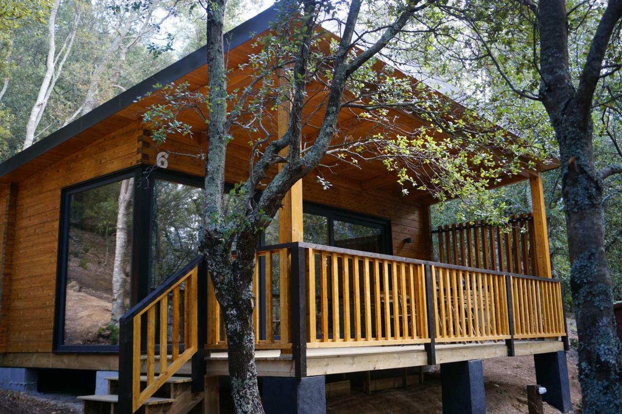 Camping Maçanet de Cabrenys المظهر الخارجي الصورة