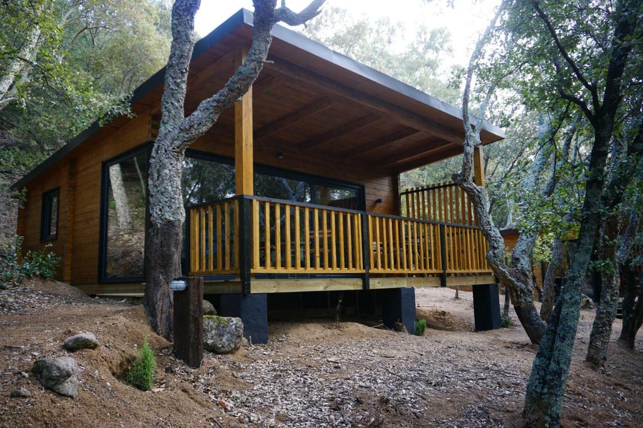 Camping Maçanet de Cabrenys المظهر الخارجي الصورة
