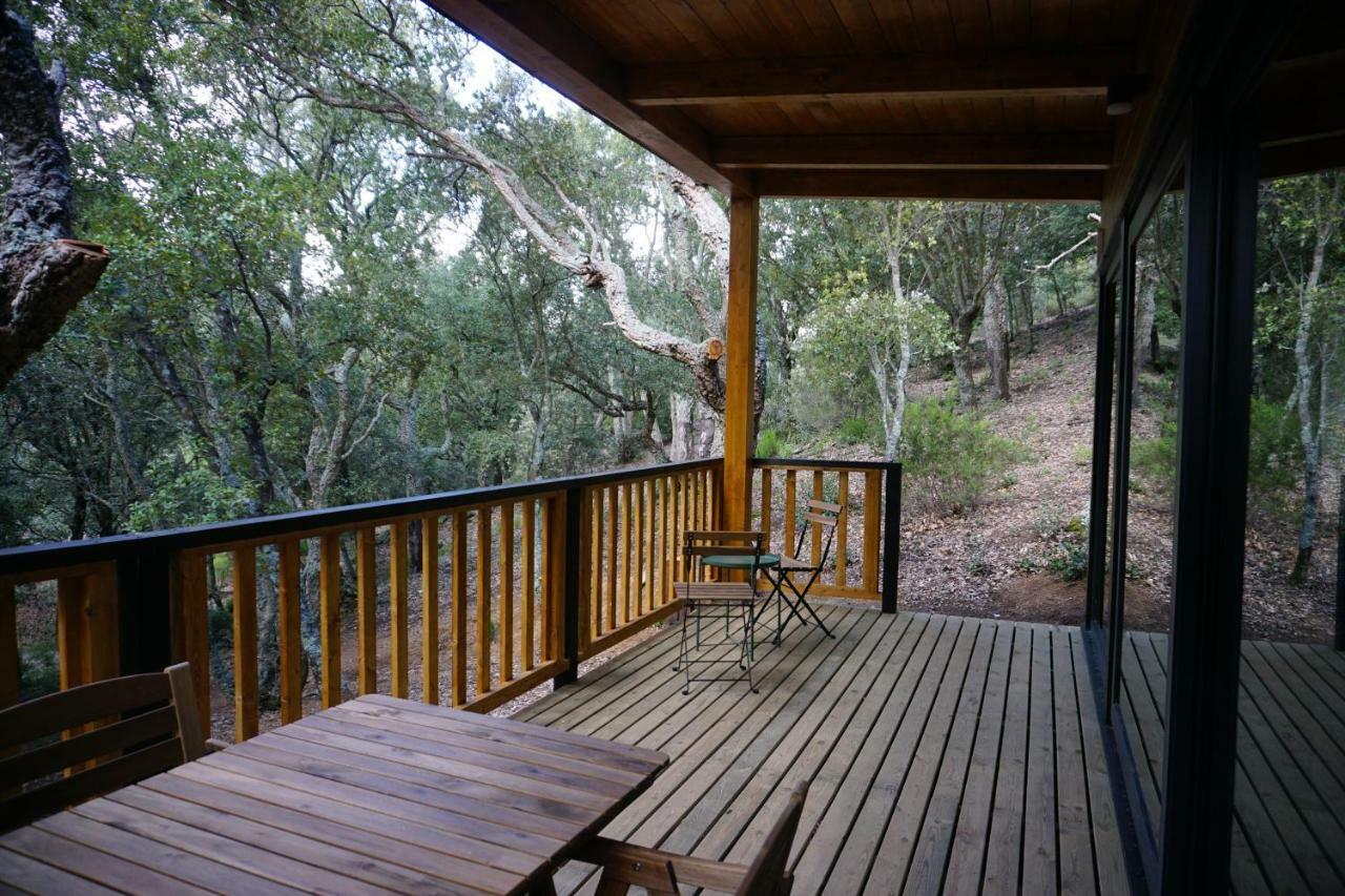 Camping Maçanet de Cabrenys المظهر الخارجي الصورة